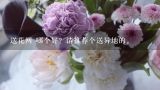 送花网 哪个好？请推荐个送异地的。,同城鲜花店铺怎么配送？一般多长时间可以送到？