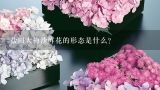 盐田大梅沙鲜花的形态是什么?