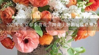 2023年北京春季赏花、踏青主题游玩线路推荐
