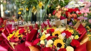 眉山鲜花批发市场在哪里