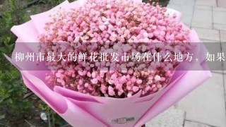 柳州市最大的鲜花批发市场在什么地方，如果想开花店去哪里收购鲜花最便宜，、实惠？