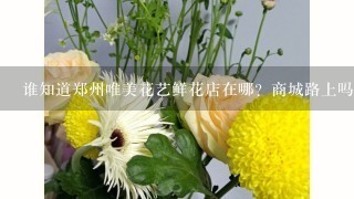 谁知道郑州唯美花艺鲜花店在哪？商城路上吗