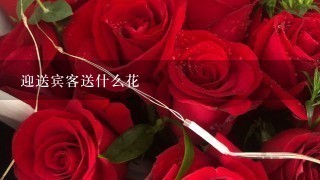 迎送宾客送什么花