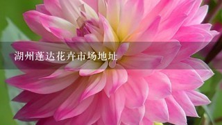 湖州蓬达花卉市场地址