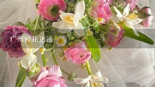 广州鲜花速递