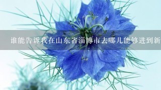 谁能告诉我在山东省淄博市去哪儿能够进到新鲜的鲜花