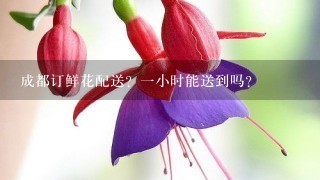 成都订鲜花配送？1小时能送到吗？