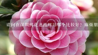 请问在深圳鲜花速递网站哪个比较好？麻烦朋友们给介绍下。