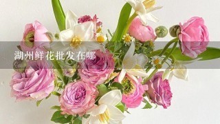 湖州鲜花批发在哪