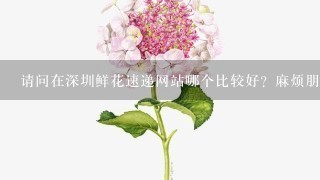 请问在深圳鲜花速递网站哪个比较好？麻烦朋友们给介绍下。