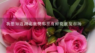 我想知道湖北襄樊那里有鲜花批发市场
