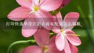 打印快递单没注意点商家配送怎么调整