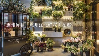 惠州鲜花，惠州江北鲜花店在哪？