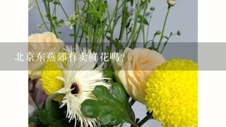 北京东燕郊有卖鲜花吗？