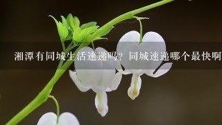 湘潭有同城生活速递吗？同城速递哪个最快啊~ 能送餐送鲜花送蛋糕什么的~