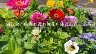 浙江台州临海有没有鲜花店能帮助在母亲节帮我给妈妈送单只康乃馨的呢？
