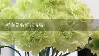 呼和浩特鲜花市场