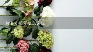 鲜花小镇0氪怎么玩