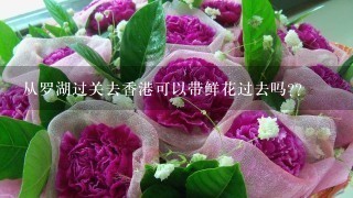 从罗湖过关去香港可以带鲜花过去吗??