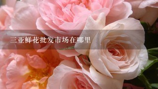 3亚鲜花批发市场在哪里