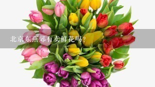 北京东燕郊有卖鲜花吗?