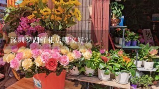 深圳罗湖鲜花店哪家好？