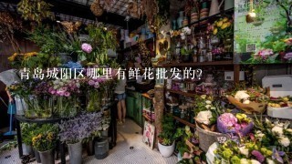 青岛城阳区哪里有鲜花批发的？
