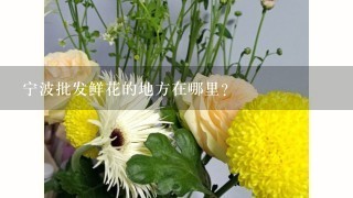 宁波批发鲜花的地方在哪里？