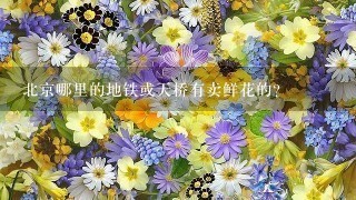 北京哪里的地铁或天桥有卖鲜花的？