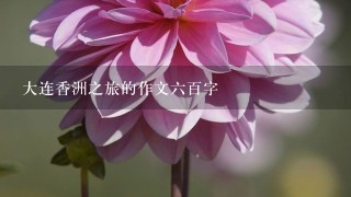 大连香洲之旅的作文6百字