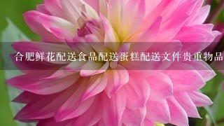 合肥鲜花配送食品配送蛋糕配送文件贵重物品配送哪家好？