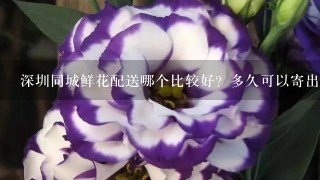 深圳同城鲜花配送哪个比较好？多久可以寄出去？