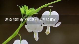 湖南邵阳市区哪里有批发鲜花的