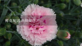 鲜花配送详细程序