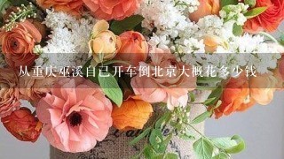 从重庆巫溪自己开车倒北京大概花多少钱