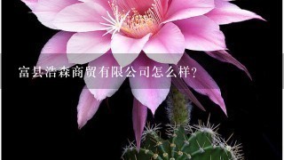 富县浩森商贸有限公司怎么样？