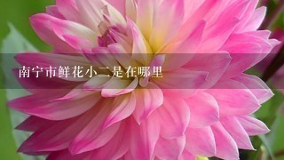 南宁市鲜花小2是在哪里