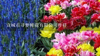 宣城市寻梦鲜花有限公司咋样