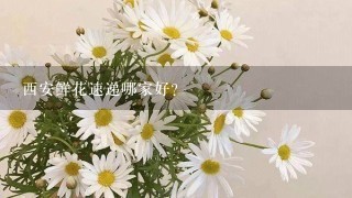 西安鲜花速递哪家好？