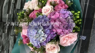 宁海订花网是如何运作的呢？