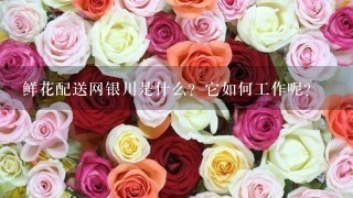 鲜花配送网银川是什么？它如何工作呢？