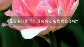 拼花需要注册吗？是免费还是收费服务呢？