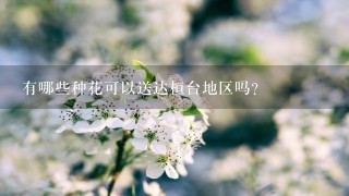 有哪些种花可以送达桓台地区吗？