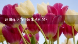 漳州鲜花的物流体系如何?