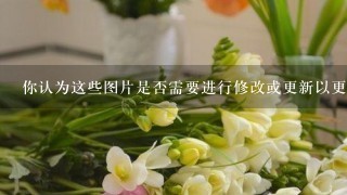 你认为这些图片是否需要进行修改或更新以更好地代表你需要展示的产品特点和优势呢?