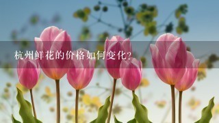 杭州鲜花的价格如何变化?