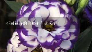 不同花卉的价格有什么差异?