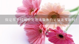 保定阜平同城鲜花速递服务的运输速度如何?