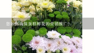 您如何确保蛋糕鲜花的营销推广?