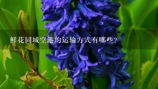 鲜花同城空港的运输方式有哪些?